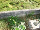 image of grave number 178562